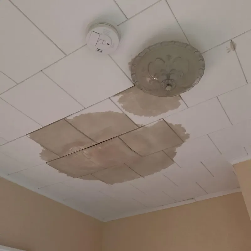 Ceiling Water Damage Repair in East Rockaway, NY